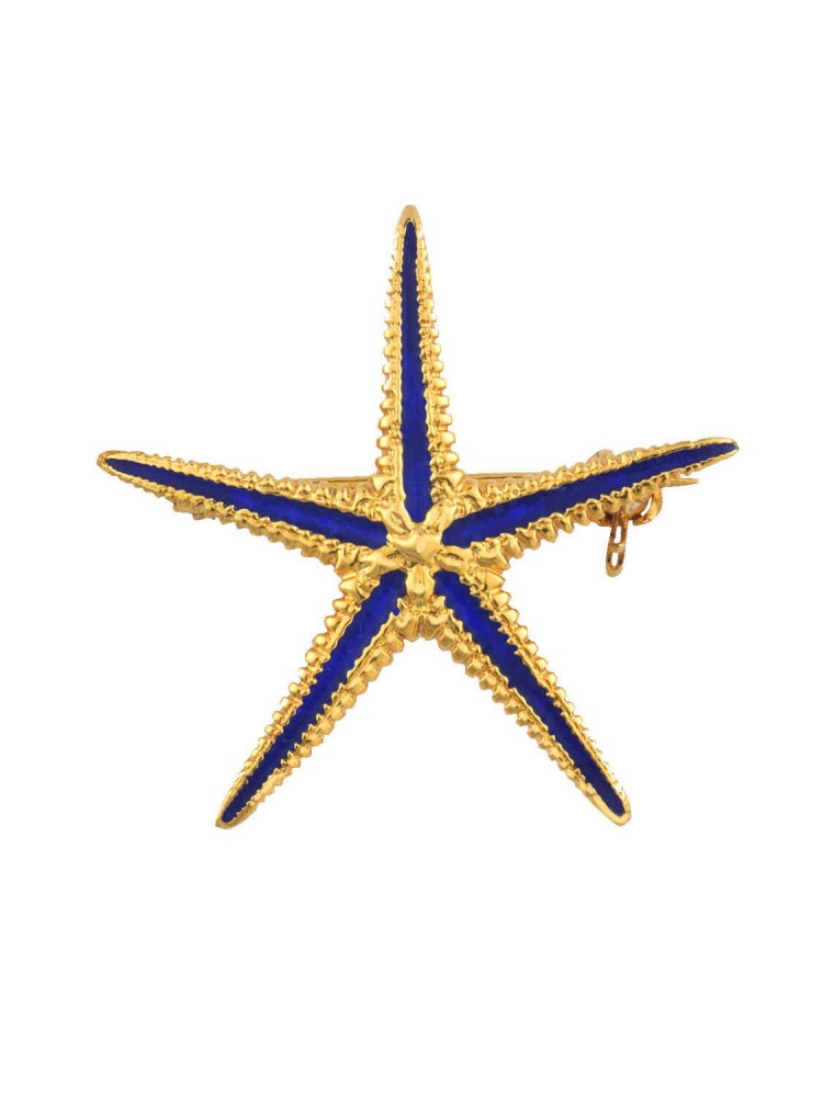 Starfish - Handmade Enamel Brooch, in 14k gold