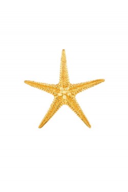 Αστερίας - Χειροποίητο Μενταγιόν