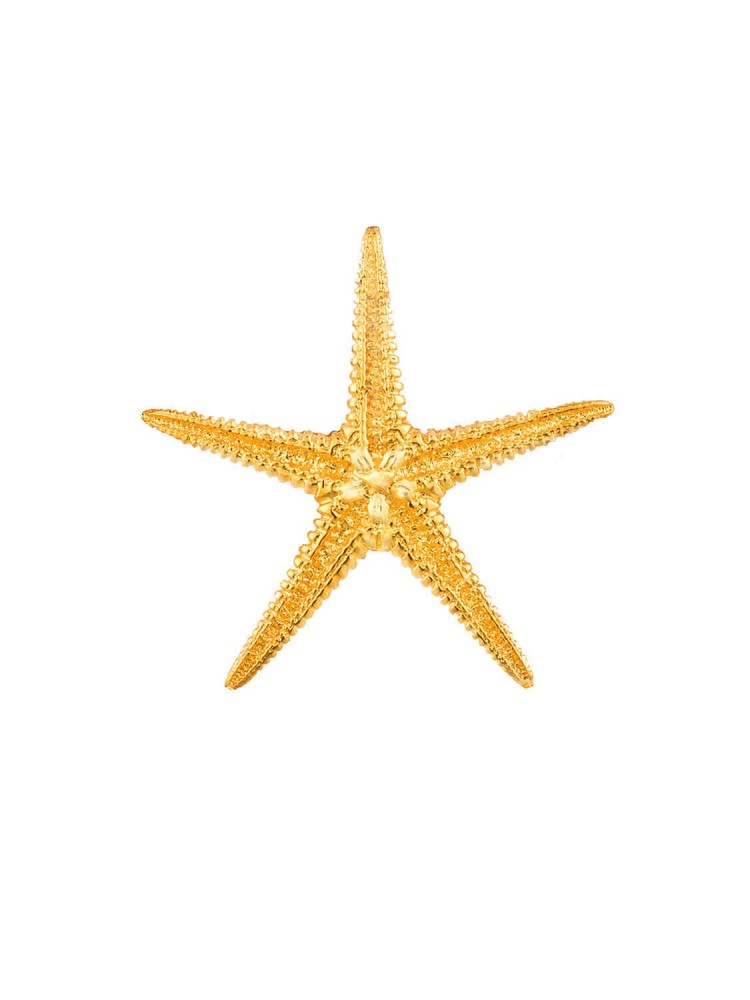 Αστερίας - Χειροποίητο Μενταγιόν